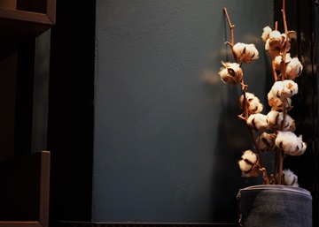 Best cotton for denim: why fiber quality matters