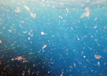 Kitotex®: microplastic-free denim revolution