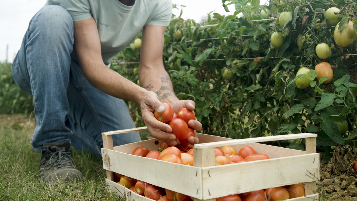 Can COREVA™ close the loop?